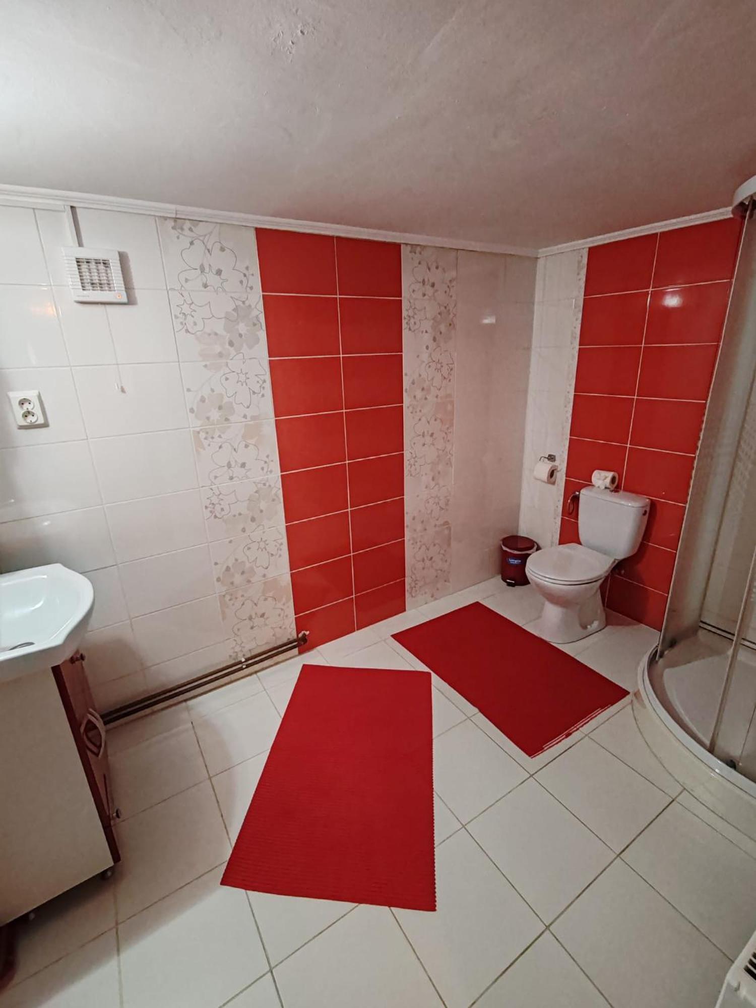 Hotel Casa Alex Topliţa Esterno foto
